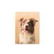DRAEGER PARIS 1886 Kleine wandkalender 13 x 18 cm 2026 – thema honden – 12 maanden – FSC-papier – afneembare illustraties