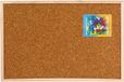Merkloos / Sans marque Shoppartners Bv Kurken prikborden inclusief punaises 60 x 45 cm
