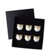 Rosenthal Versace Prestige Gala Set, 6 tasses, Porcelaine