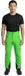 Trangoworld Allos Pantalon Thermique Vert S Homme