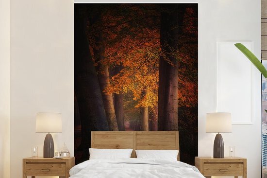 Nr1Wallpaper Behang - Fotobehang Bos - Pad - Herfst - Rood - Breedte 195 cm x hoogte 300 cm