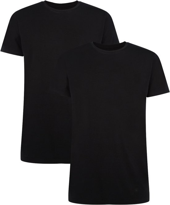 Bamboo Basics Basics Ruben T-shirt Heren Sportshirt - Maat L - Mannen - zwart