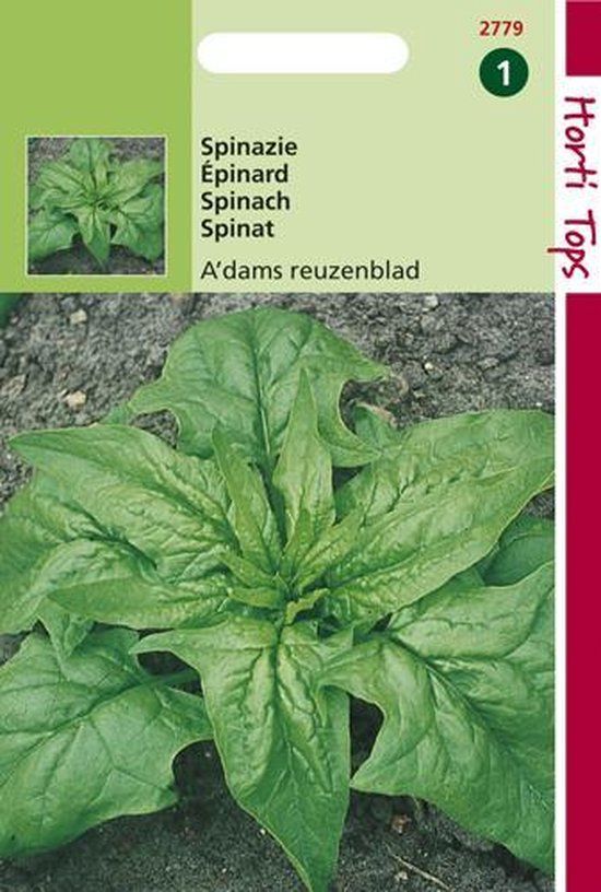 Hortitops Zaden - Spinazie Amsterdams Scherp Zaad 15 Gram