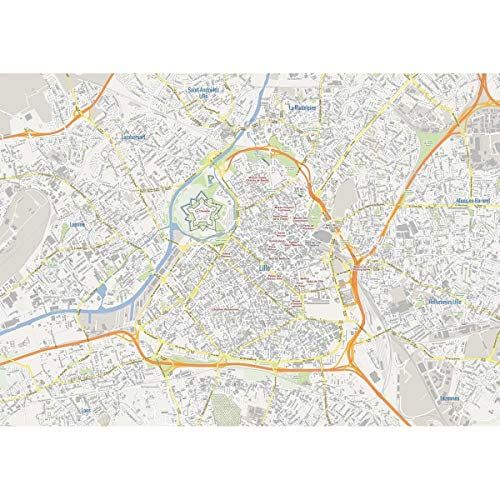 Helvetiq Mypuzzle Lille - 1000 Pieces - 7640139530653