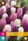 Jub Holland Hyacint Pastel Mix Bloembollen - 15 stuks