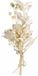 RAYHER Klein bosje droogbloemen in creme tinten linte 18/20 cm