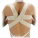 Orliman Dossier Normal T-1 75-85cm