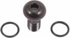 Shimano Boulon de frein à disque 16 x 5,5 mm noir