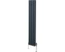 Monster Group BV Radiateur colonne ovale - anthracite - 1600x240 mm - robinetterie thermostatique chrome