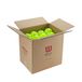 Wilson Max 40 Outdoor Case Pickleballballen Groen 3 Balls