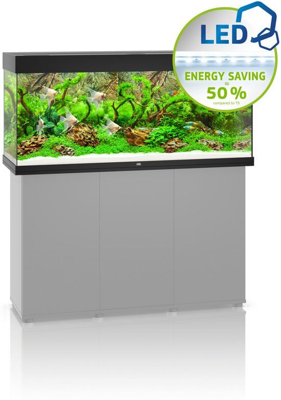 Juwel Aquarium Rio 240 LED - 240L - Black