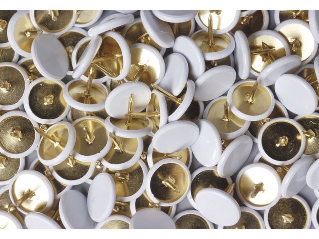 Staples Punaise Wit met geplastificeerde