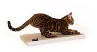 LucyBalu SCRATCHPAPER krabplank van hoogwaardig golfkarton | Krabmat voor katten van karton | Wit