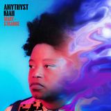 Universal Music Nederland Amythyst Kiah - Wary + Strange (LP)
