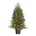 Black Box Grimshaw kerstboom 90 cm groen warm wit