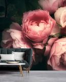 A.S. Création AS Creation Fotobehang rozen in crème roze