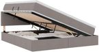 vidaXL lit de rangement avec matelas et tête de lit taupe 160 x 200 cm velours
