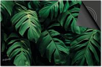 Dietrix Inductie Beschermer 60x52 - Bloemen en Planten - Monstera Donker