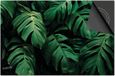 Dietrix Inductie Beschermer 60x52 - Bloemen en Planten - Monstera Donker