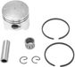 OEM Allecto plus - Cilinder en zuiger set, 44 mm, voor mini-moto offroad fietsen.