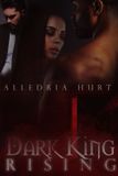 Dark Small Dragon Media Dark King Rising Paperback