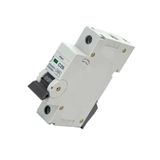 Miniatuur ABB Miniatuur stroomonderbreker, 1P, 25A, C-curve, grijs