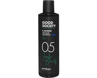 Artègo Good Society 05 B_Blonde Ash Blue Shampoo 250ml