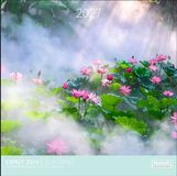 Aquarupella Zen Spirit Kalender 2027 Wandkalender