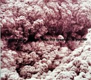 PIAS Nederland Trentemøller - Into The Great Wide Yonder (CD)
