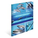 HERMA mappen A4 dolfijnen set, 3-delig, kinderhoekmappen van karton met dierenmotief, elastische band, binnenkleppen en binnenprint voor jongens en meisjes