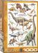 Dinosaurussen Eurographics Dinosaurus Legpuzzel - 1000 Stukjes Karton