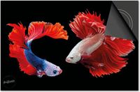 Dietrix Inductie beschermer 60x52 - Under the Sea - Clownvissen