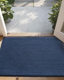 DEXI Deurmat binnentapijt voor binnen, vooringang, antislip laag profiel, wasbaar voor ingang, 49,5 x 80 cm, blauw
