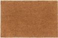 vidaXL Deurmat 65x100 cm Kokosvezel Naturel
