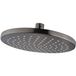 Wiesbaden Caral Douche de tête - Rond - 20x1.2cm - Gunmetal