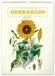 Presco Herbarium Herbarium Kalender 2027 Groot