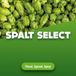 Spalt Select Houblon 5 kg