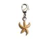 INNSPIRO NICE CHARMS hanger van metaal, zeester oranje met karabijnhaak, 11 x 15 mm, 25 stuks