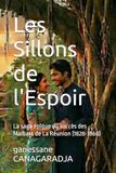 Les Sillons de l'Espoir: La saga épique du succès des Malbars de La Réunion (1828-1860)
