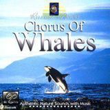 Chorus Mediaphon / Mediaphone Chorus Of Whales CD