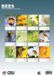 CalendarsRUs Bijen A3 Kalender 2027