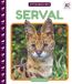Serval Little Wild Cats- Serval Hardcover