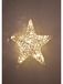 Harms Importe Weide LED-kerstster