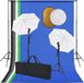 vidaXL Fotostudio set met lampen, paraplu's, achtergrond en reflector