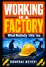 Working in a Factory: What Nobody Tells You: A Practical Guide to Shift Work, Breakdowns, Workplace Politics, Safety, Pressure, and Building a Better Career