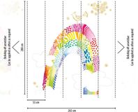 Livingwalls Vrolijke Regenboog Fotobehang Kinderkamer - Wit Roze Geel Lila