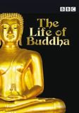 Life Vendor Services Nederland Life Of Buddha / DVD / 1996