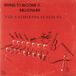 The California Playboys - Trying To Become A Millionaire (CD)