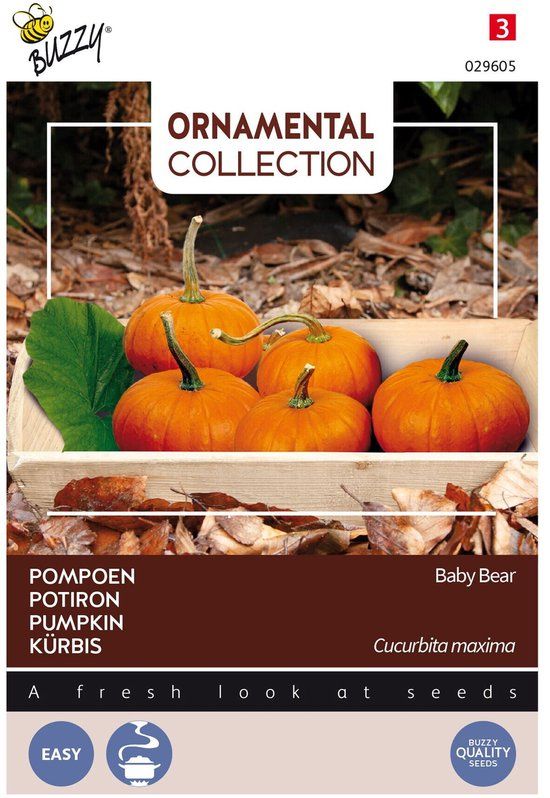 Buzzy Ornamental - Wintersquash Baby Bear