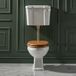 Hudson Reed Richmond Toilet met Laaghangend Reservoir en Satijn Goud Toilettrekker en Valpijp - Inclusief Eikeneffect Toiletzitting